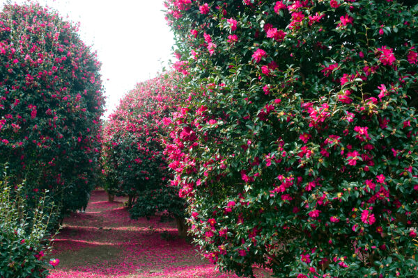 627e03c97fd05