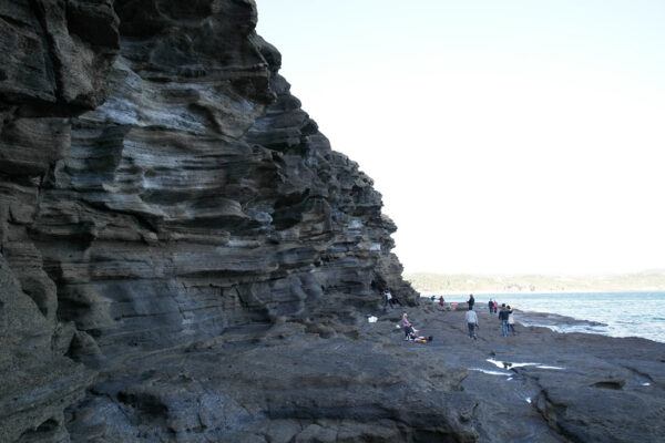 Dragon head shore