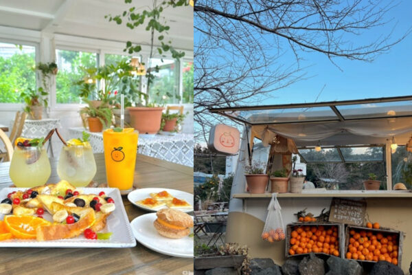 Tangerine cafe