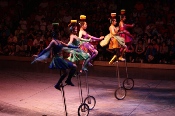 World Circus