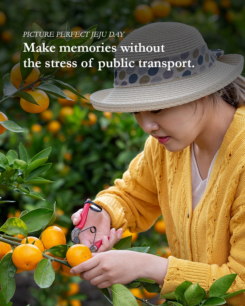 KakaoTalk_20251024_100834455