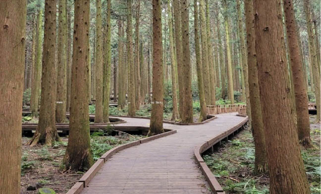 KakaoTalk_20251024_100840850