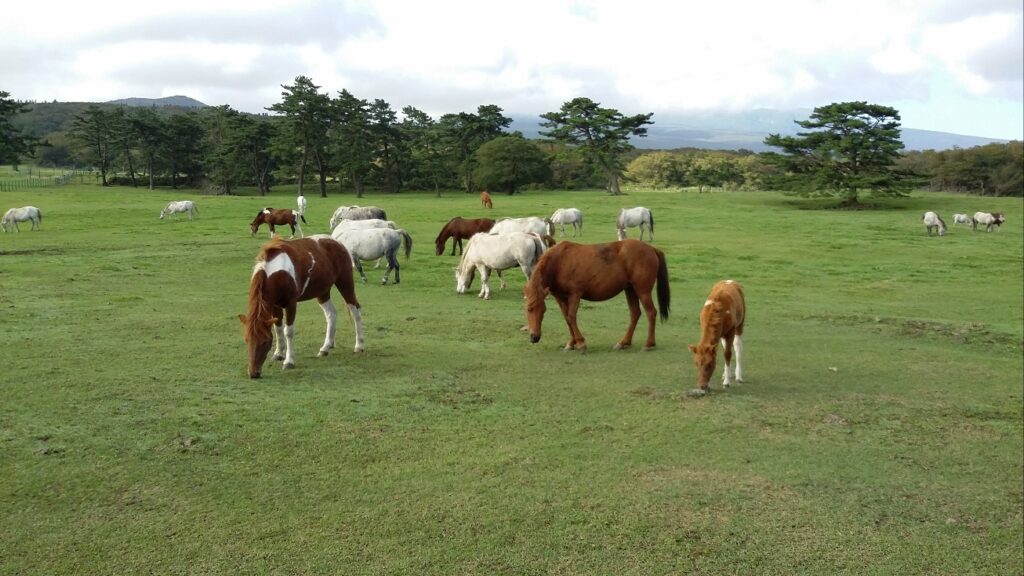 KakaoTalk_20251024_100852062