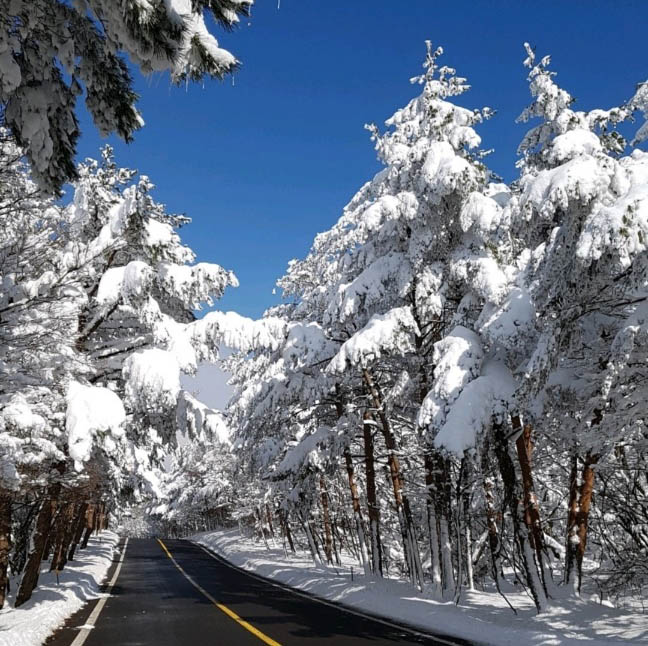 KakaoTalk_20251024_100857370