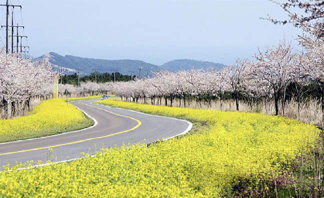 KakaoTalk_20251024_100910072